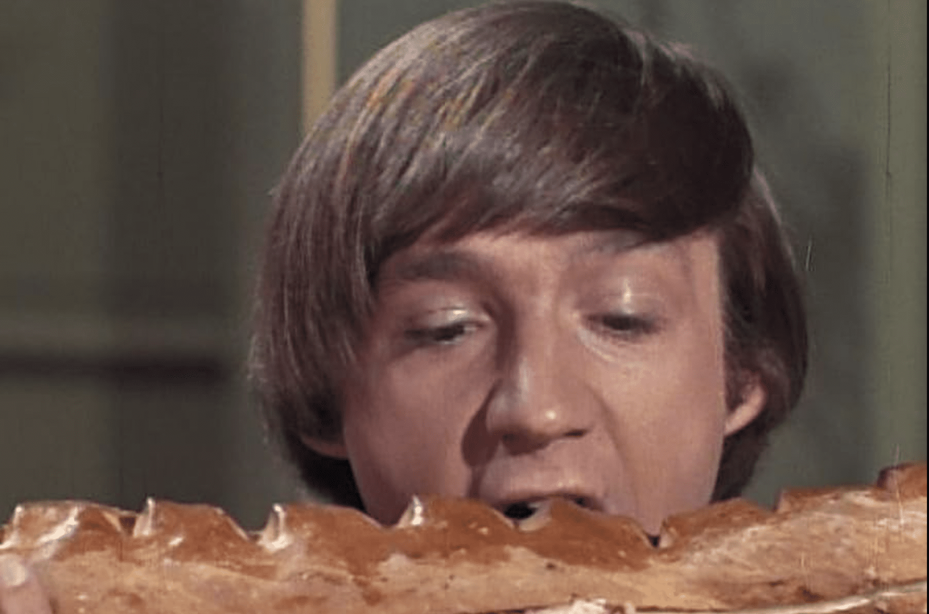 10 Things You Never Knew About The Monkees The Quick Report
